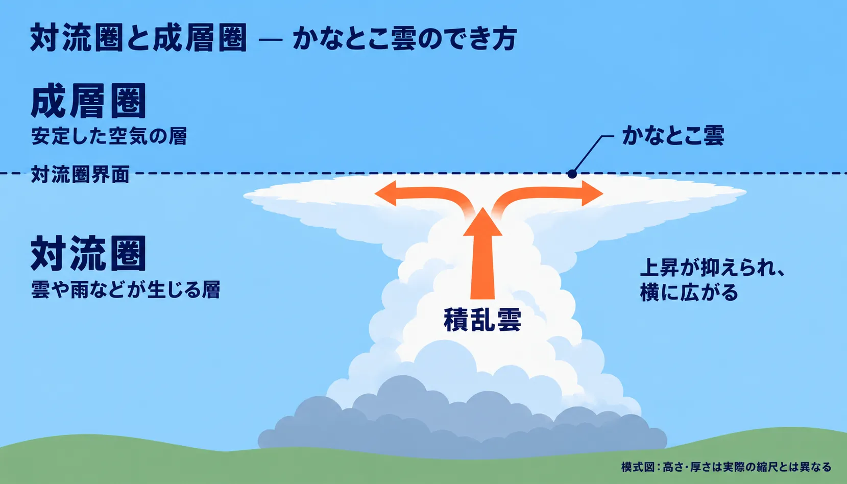 対流圏で発達した積乱雲が、成層圏との境界である対流圏界面付近で上昇を抑えられ、かなとこ状に横へ広がる模式図